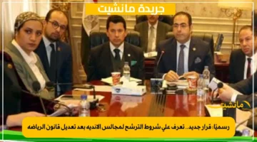 رسميًا قرار جديد.. تعرف على شروط الترشح لمجالس الأندية بعد تعديل قانون الرياضة 1